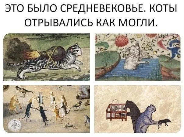 Картинки для деградации 210 (разной степени свежести)