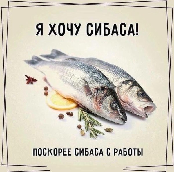 Сегодня звезды сошлись!