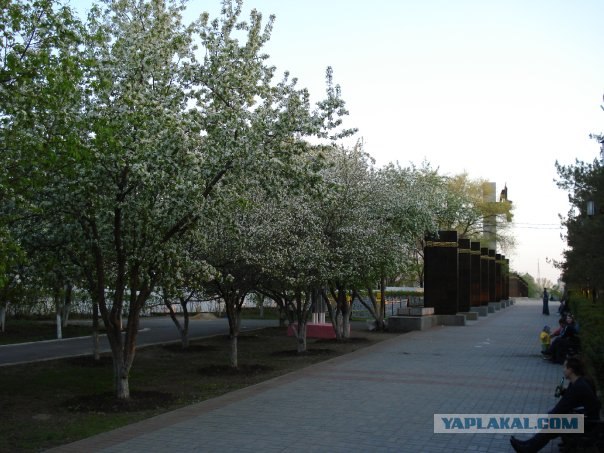 Оренбургские зарисовки