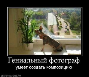 Демотиваторы.