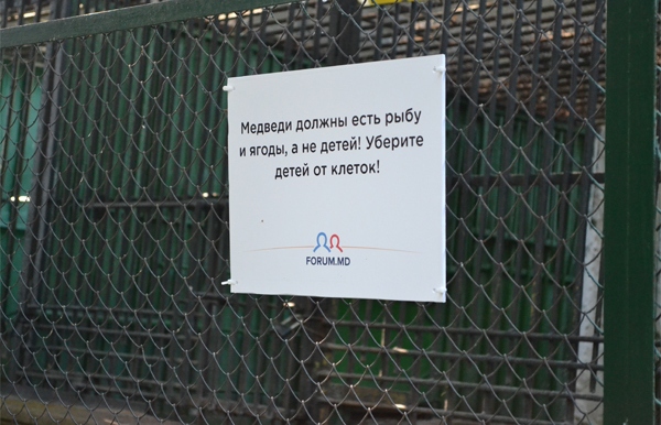 Позитив из зоопарка