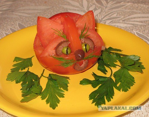 Карвинг и не только. Взгляд изнутри.