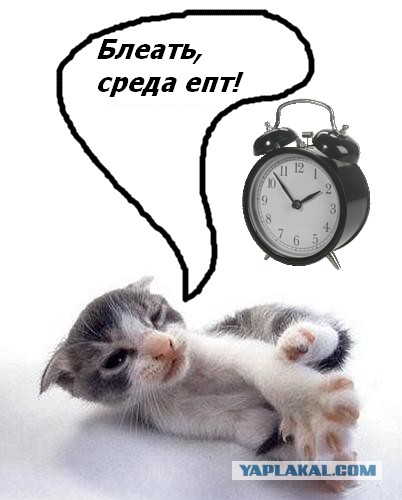 Пятница и 4 дня выходных!