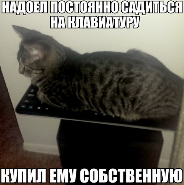 Немного картинок и юмора