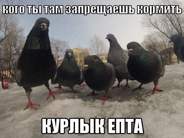 А рука так и тянется