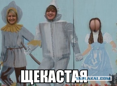 Картинки из сети