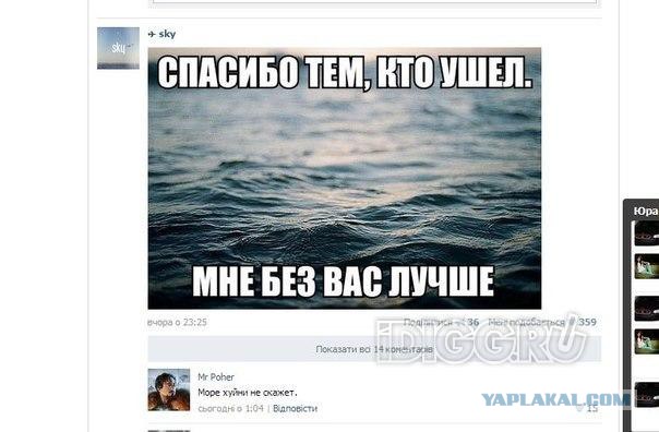 Смешные комментарии из социальных сетей
