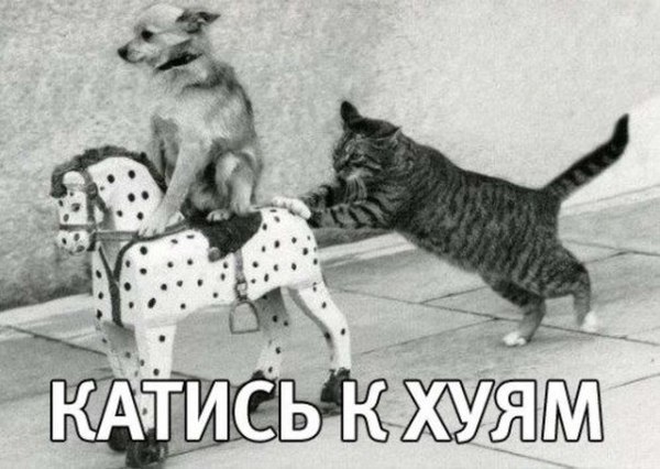 Дочь Немцова уехала из России