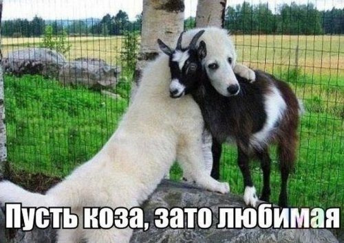 Картинки с просторов на четверг