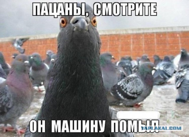 Помыл машину с вечера...