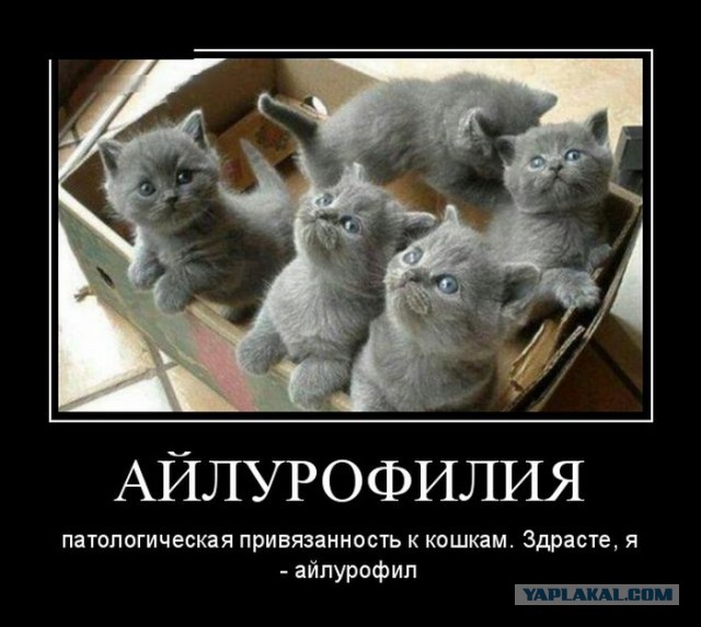Плюшкиным посвящается