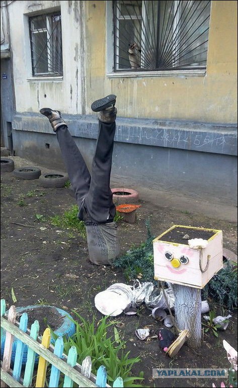 Наши дворы