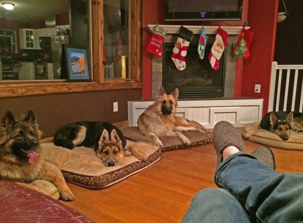 Разные картинки