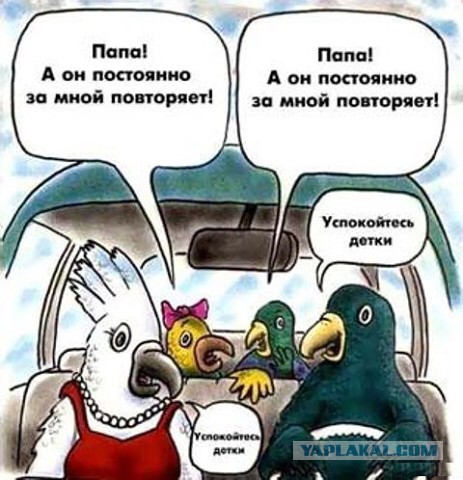 Вот Вам юмор