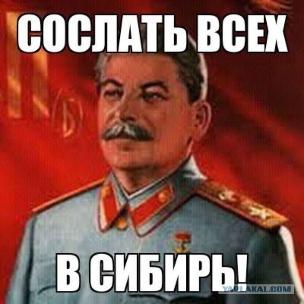Когда ТП означает "Теперь Политическая"