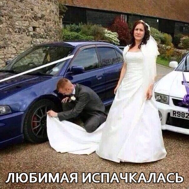 Небольшой микс картинок и гифок .