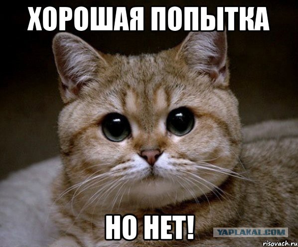 Путин посоветовал россиянам брать ипотеку сейчас