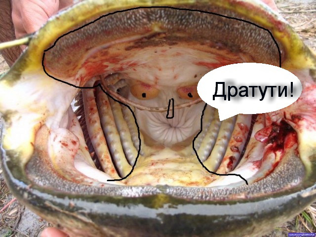 Они мне никогда не нравились...