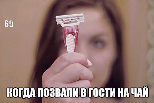 Сборище абсурда