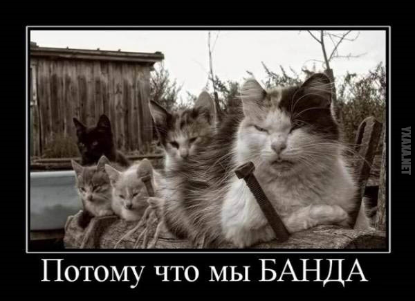А вы почему на ЯПе?