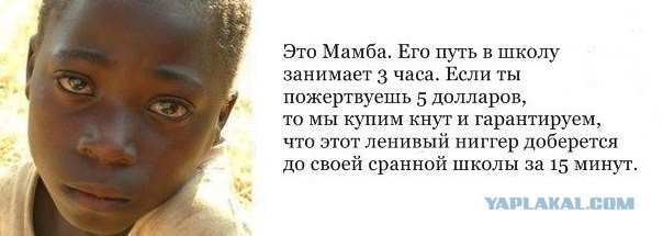 Толпа темнокожих подростков едва не разорвала блондинку в школе