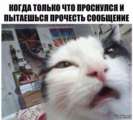 Подборка интересных и веселых картинок