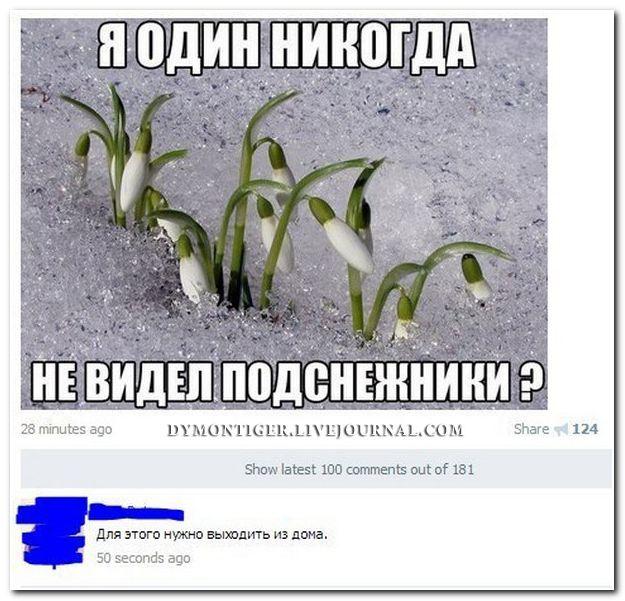 Смешные комментарии из социальных сетей 17.02.2016
