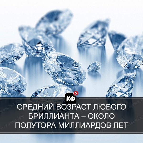 Краткие факты