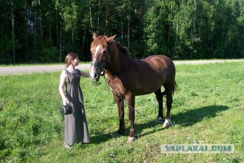 Теплая Русская глубинка (46 фот с просторов)
