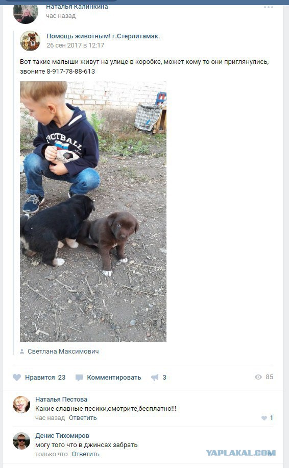 СМС-приколы