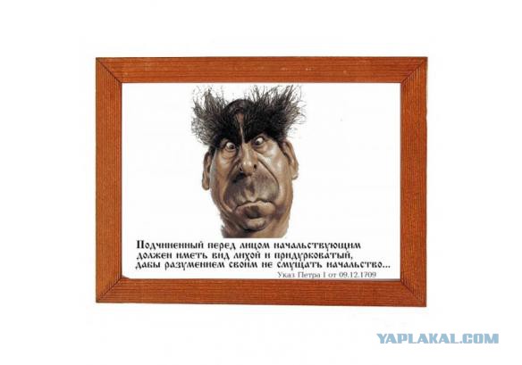 Как выглядит справедливость