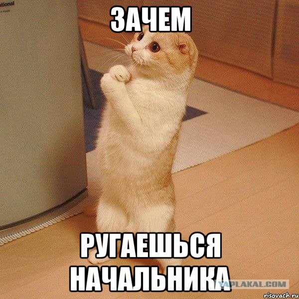 Wargaming 50! Пыщ пыщ, пробил! Урааа!