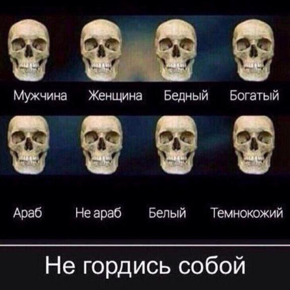 В Крыму завершаются археологические раскопки на участках трассы «Таврида»