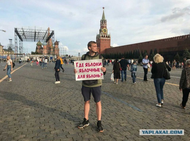 На Красной площади задержан активист с пустым плакатом