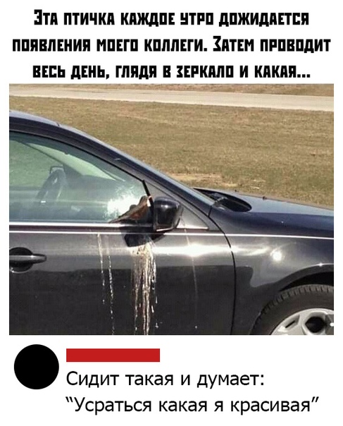 Немного картинок для настроения 27.01.20