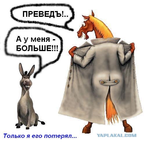 Превед медвед!