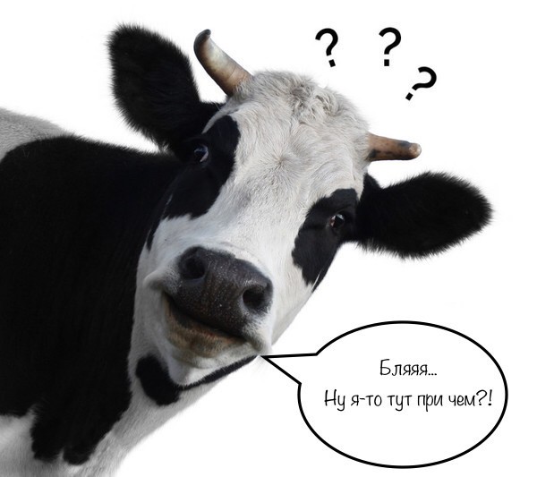 Треть россиян не верят в эпидемию, а четверть назвали эпидемию COVID-19 выдумкой заинтересованных лиц