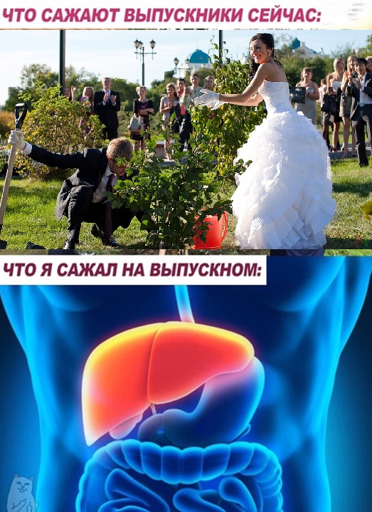 Картинки с надписями и всякие жизненные фразы 5.06.21