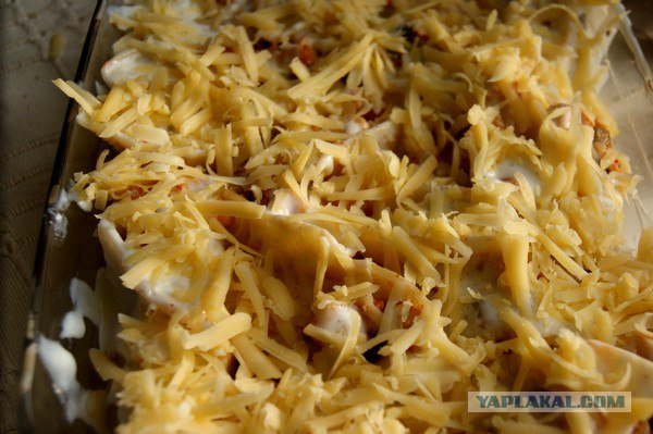 Макаронные ракушки