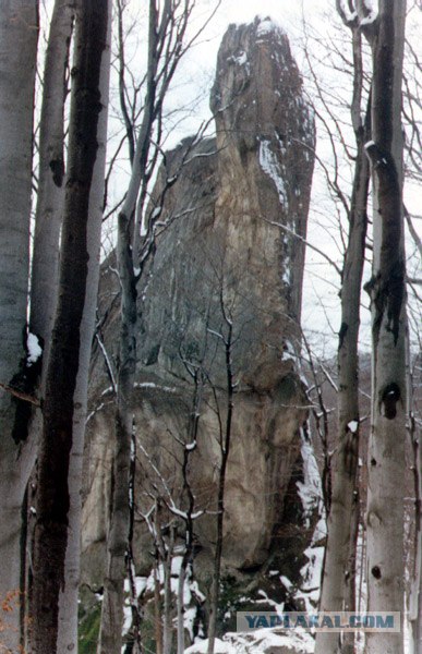 Карпаты, Закарпатье.