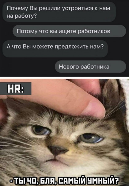 Всяческие картинки 17.01.2022