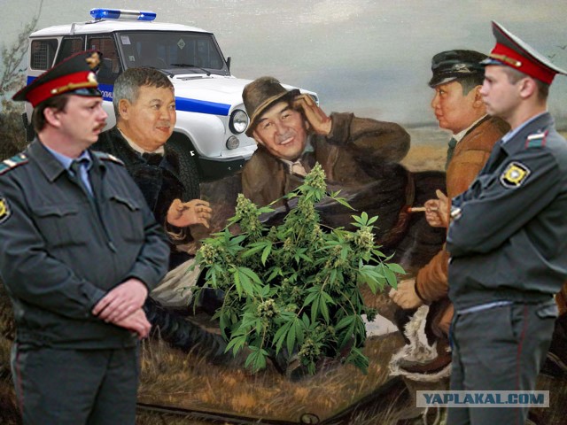 Фотожаба: Три соседа на привале