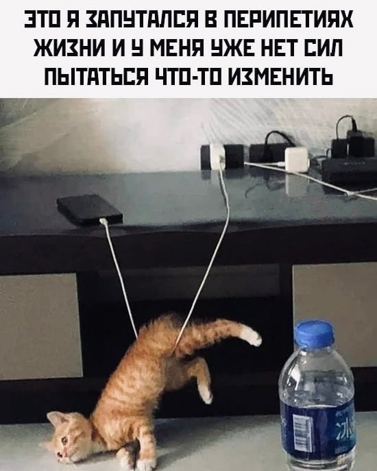 Так себе картинки 01.06.22