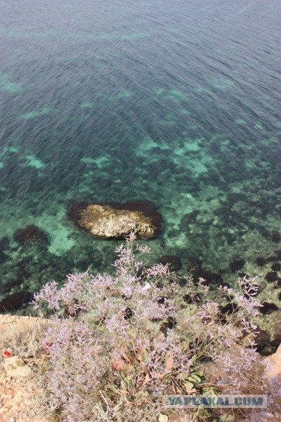 Мыс Тарханкут - самая западная точка Крыма.