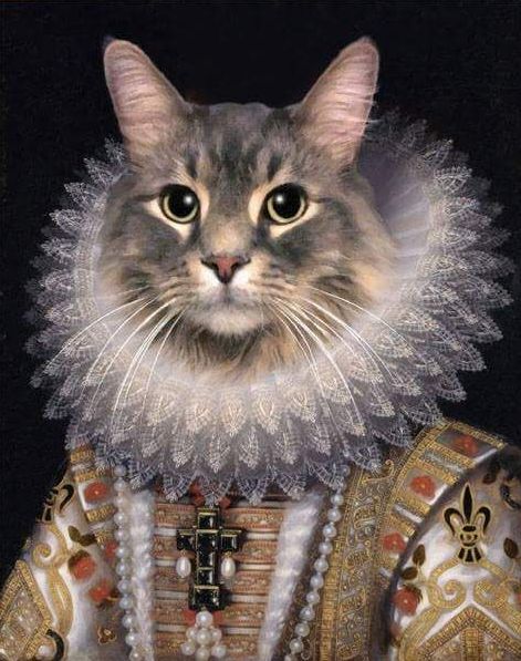 Рыцари коты