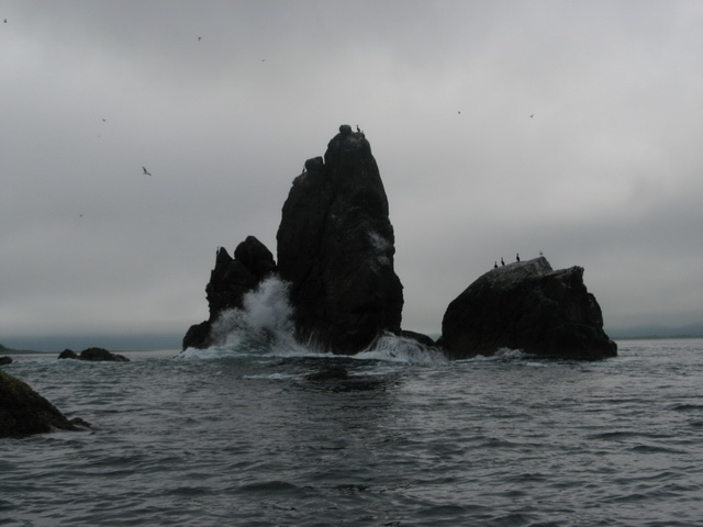 Петропавловск-Камчатский и его окрестности...