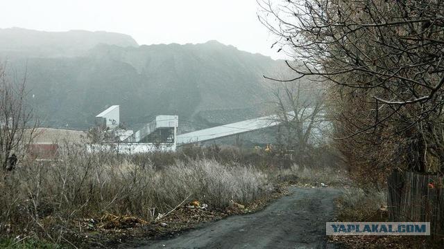 Житница, вольница, кладовая чёрного золота...