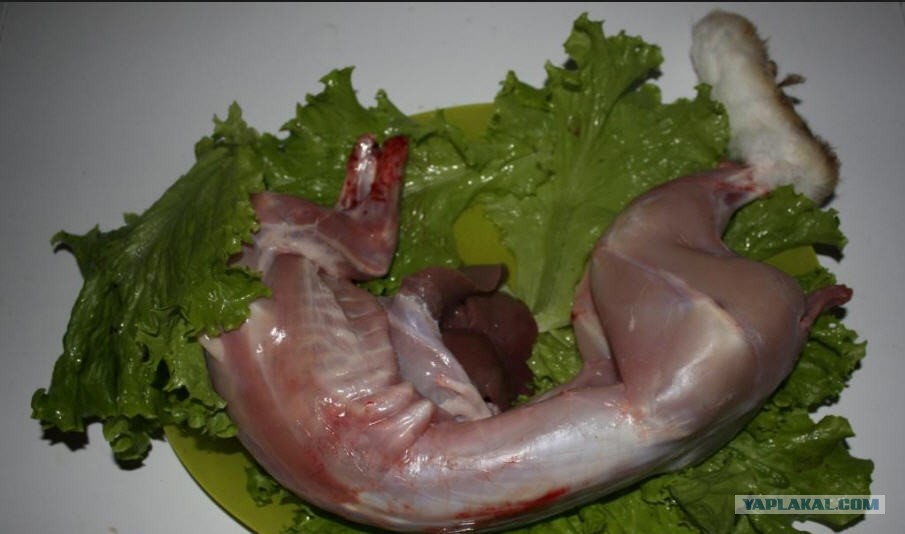 Купить Мясо Кролика В Дзержинске Нижегородской Области