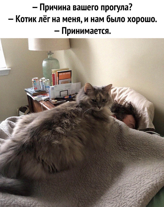 Картинки и мемы для настроения - 123