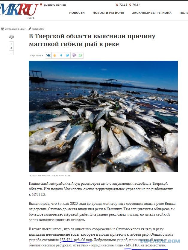 В Тверской области мужик "порыбачил" на 500 000 рублей